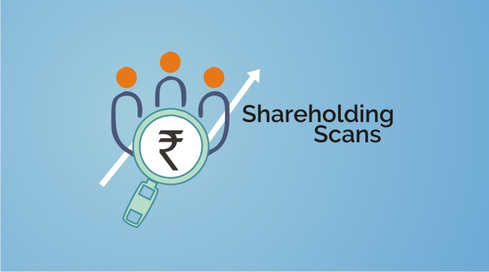 Shareholding Scan Stockedge