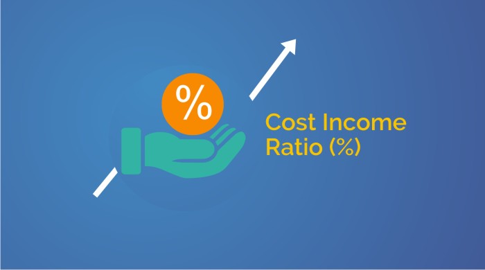 Cost Income ratio