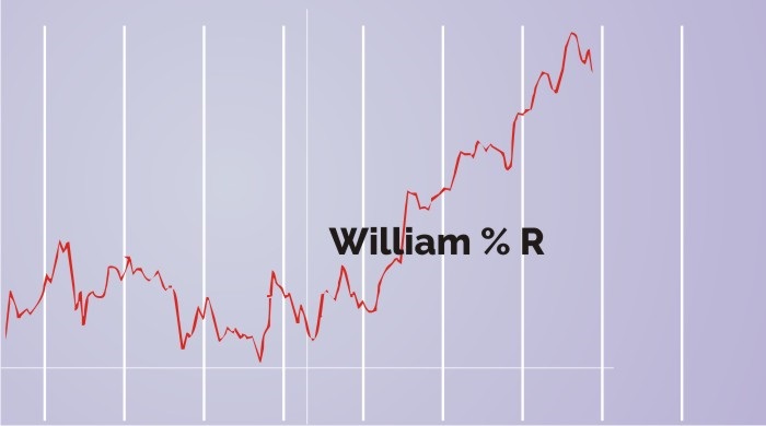 A line graph labeled “william % r” on a purple background with vertical grid lines. The red line is jagged and fluctuates up and down.