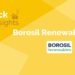A yellow banner with the text "stock insights" and "borosil renewables ltd. " in white and blue lettering.