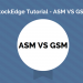 Asm and gsm - what impact does it have on investors? 12 A tutorial image from stockedge comparing asm and gsm. It features a blue background with an ascending graph, two illustrated characters on the left, and large white circle containing the text “asm vs gsm”.