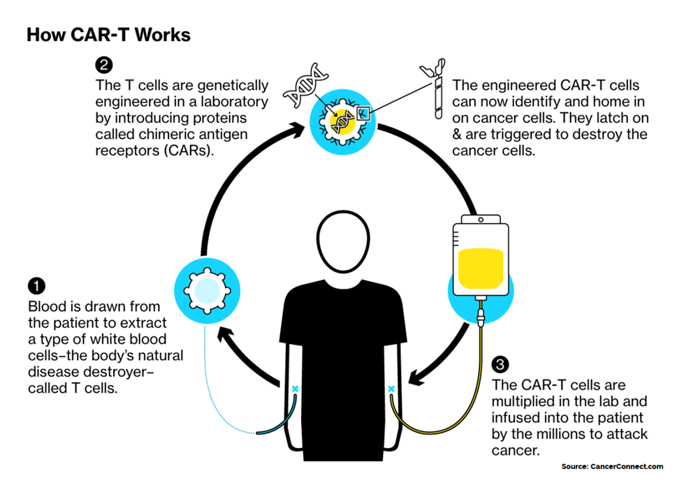 Laurus labs