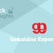 Gokaldas exports - enjoying strong tailwinds 14 Blue background with the white text 'stock insights' above the gokaldas exports ltd. Logo