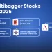 5 multibagger stocks to keep an eagle-eye for 2025 5 5 multibagger stock 2025