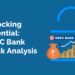 Unlocking potential: hdfc bank stock analysis 18 Hdfc bank stock analysis