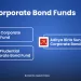 Corporate bond funds: what they are and who should invest 22 Top corporate bond funds