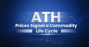 commodity life cycle