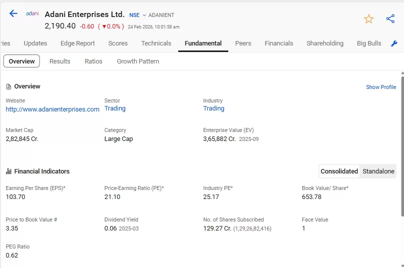 Adani enterprises ltd. Fundamentals