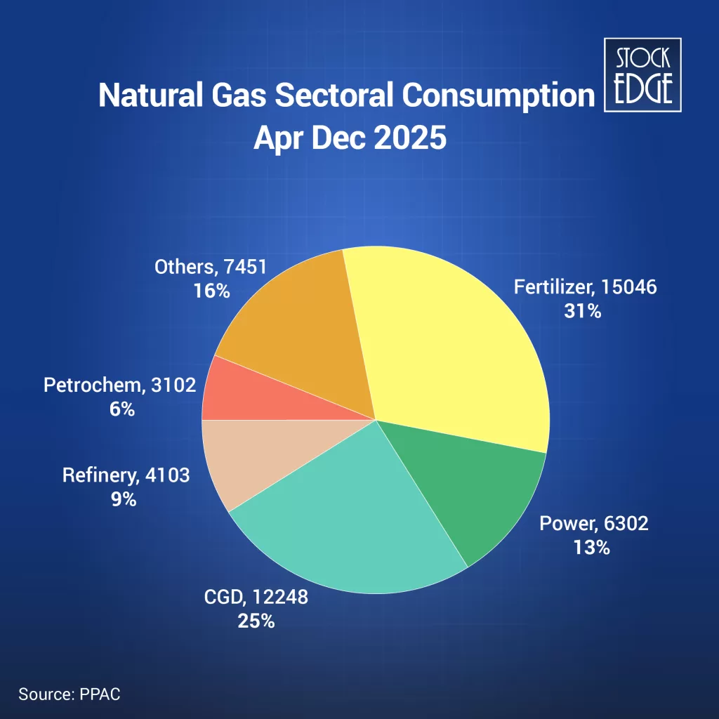 Natural gas consumption data 2025